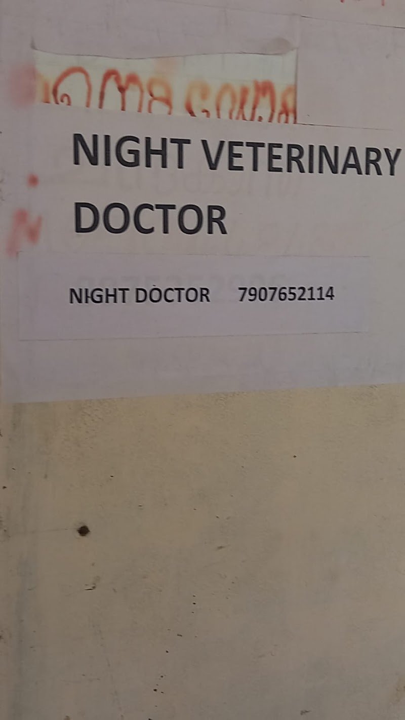 Vetinary Hospital — Photo 2