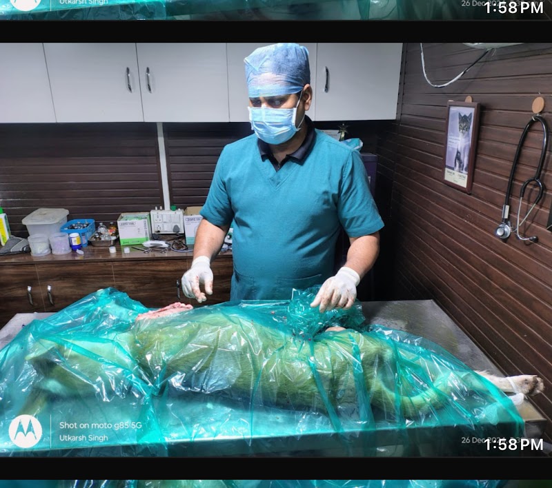 Vets for life — Photo 2