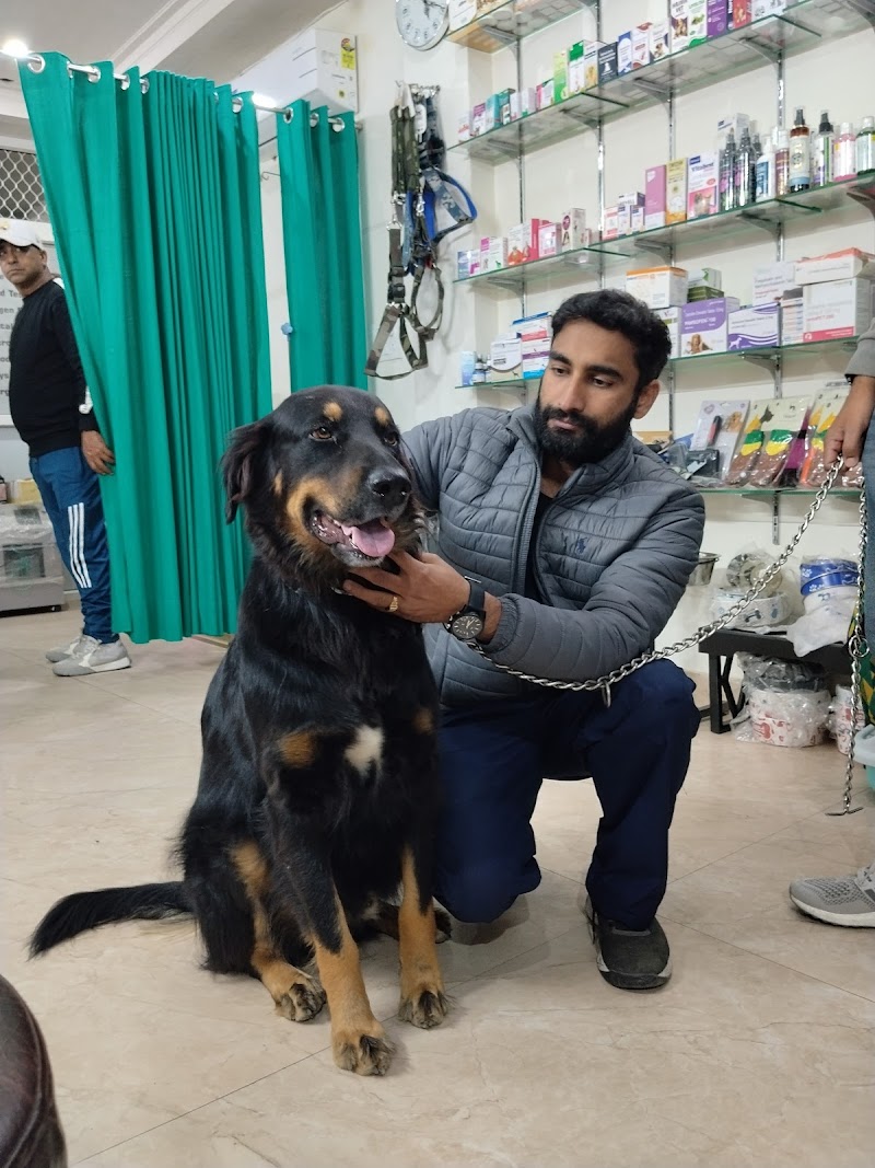 Vetvantage pet clinic — Photo 2