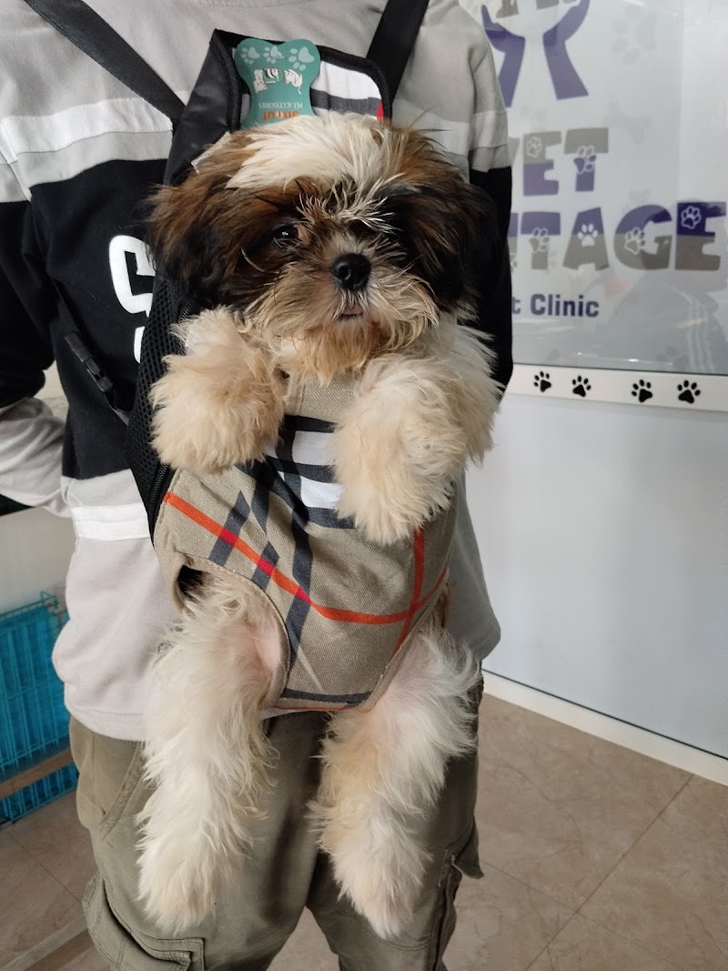 Vetvantage pet clinic — Photo 3