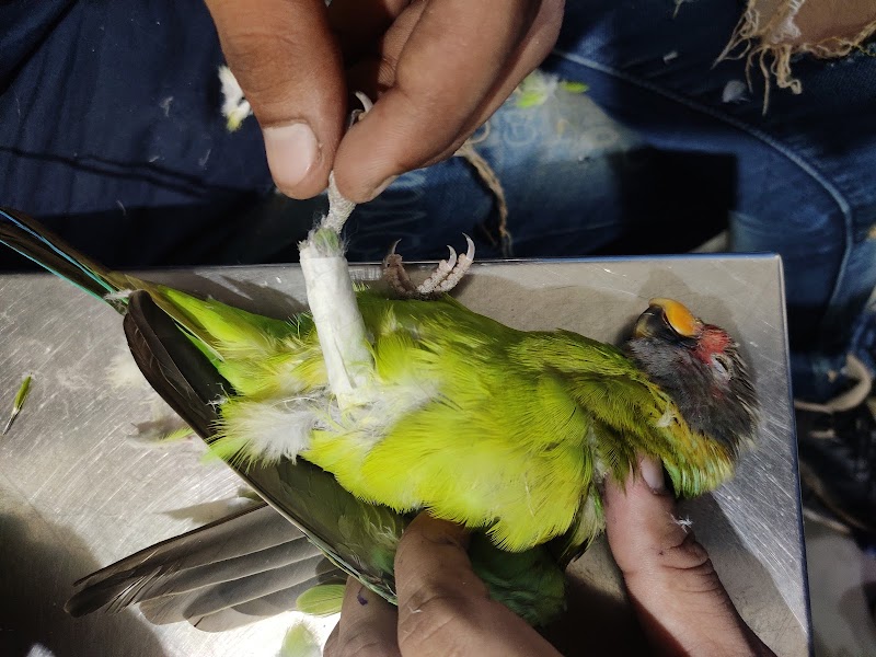 Vetvantage pet clinic — Photo 4