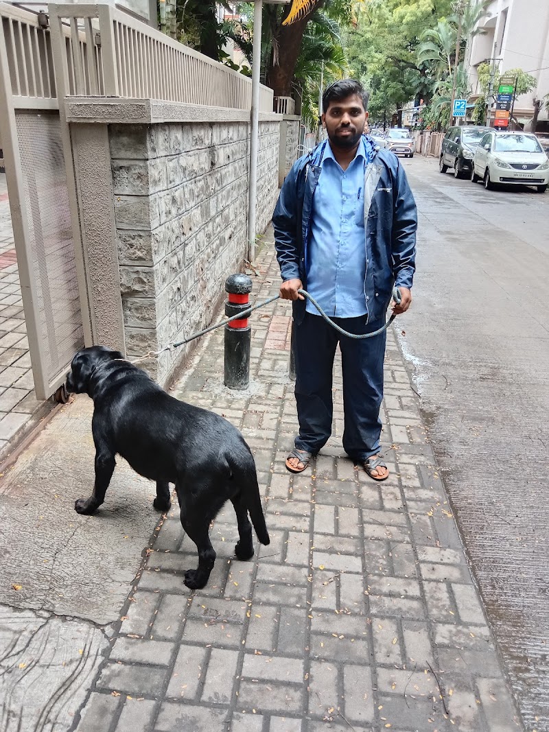 Viraj Dog Care & Walking Services
