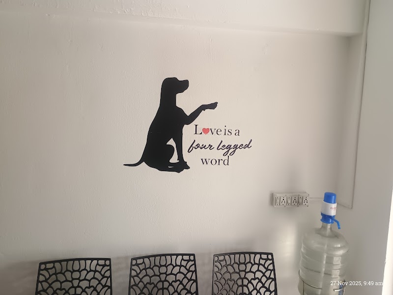 VITAL CARE PET CLINIC — Photo 2