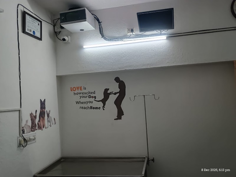 VITAL CARE PET CLINIC — Photo 3