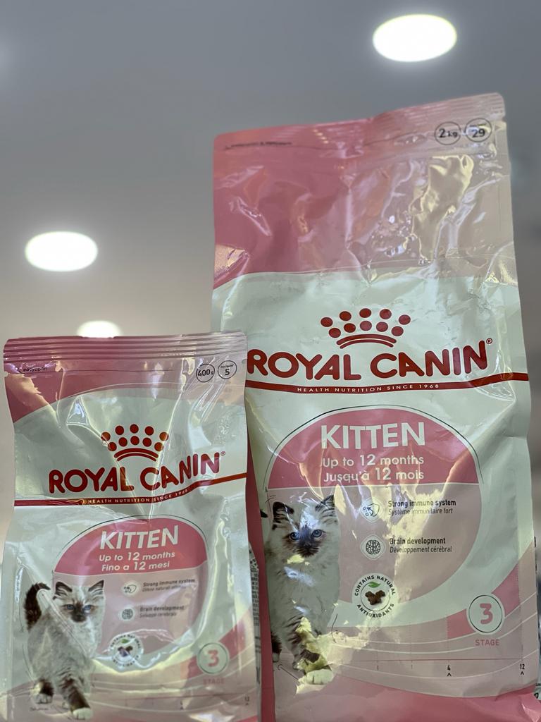 VJ's Pet Passion — Photo 3