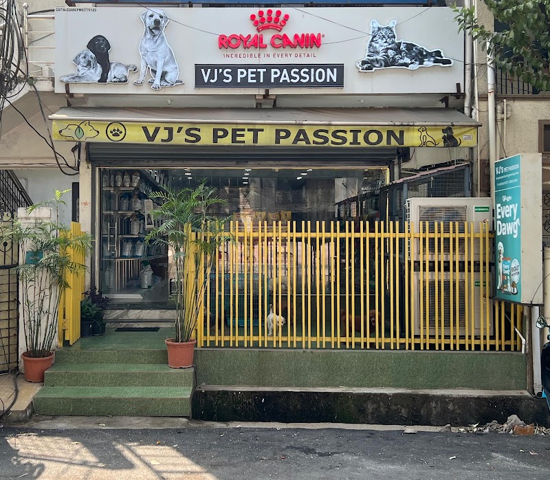 VJ's Pet Passion — Photo 4