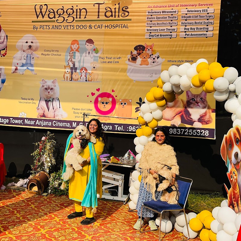 Waggin Tails Spa & Pet Shop — Photo 2