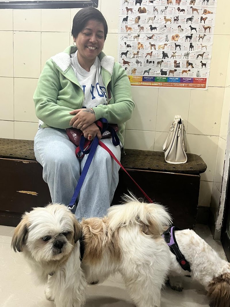 Waggin Tails Spa & Pet Shop — Photo 3