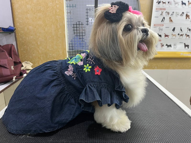 Waggin Tails Spa & Pet Shop — Photo 4