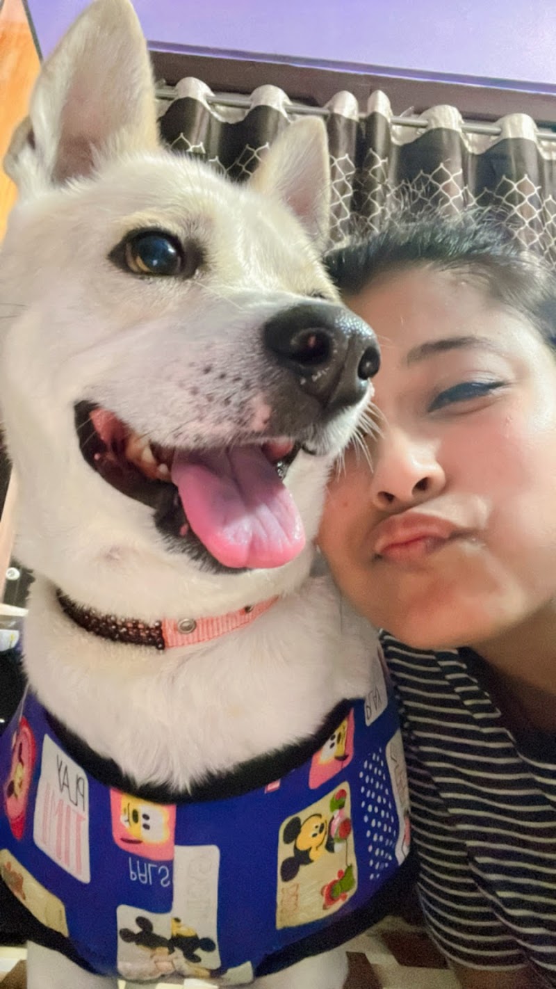 Wagging Tail Pet Hostel — Photo 3