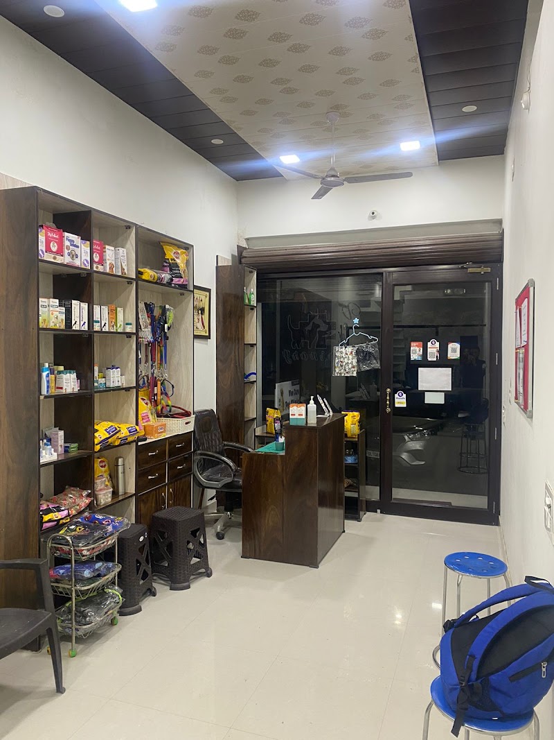 Wee Care Pet Clinic — Photo 4