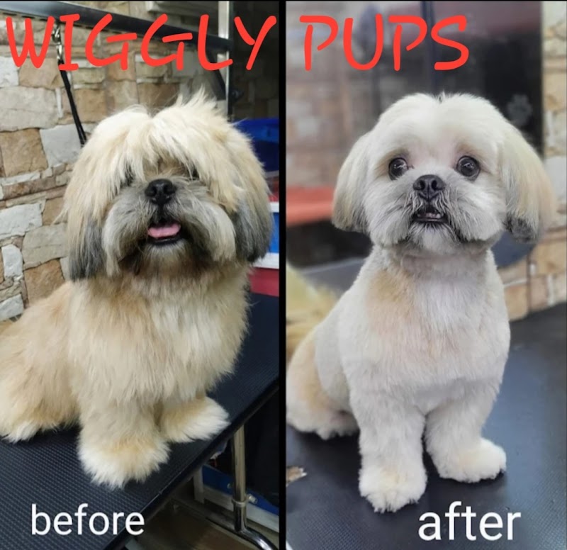 Wiggly pups . — Photo 2