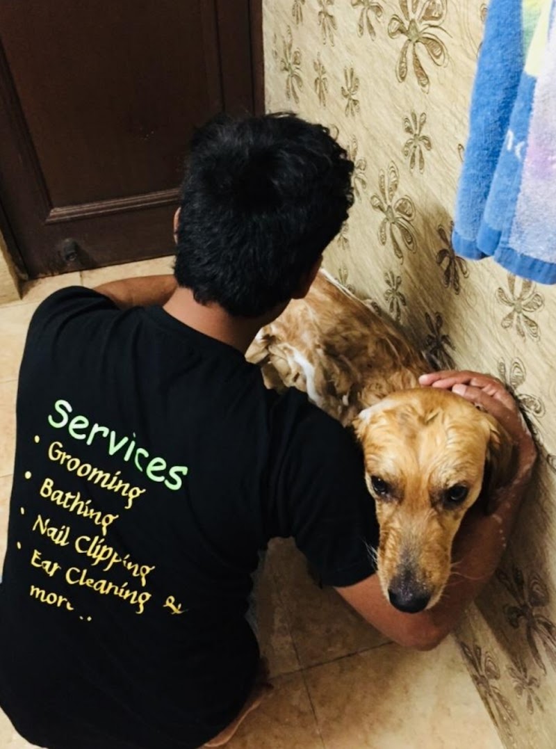 Wiggly pups . — Photo 3