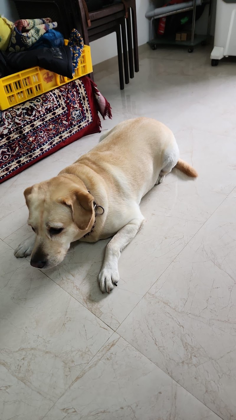 Woof & Wander - Hosteling and Walking — Photo 2