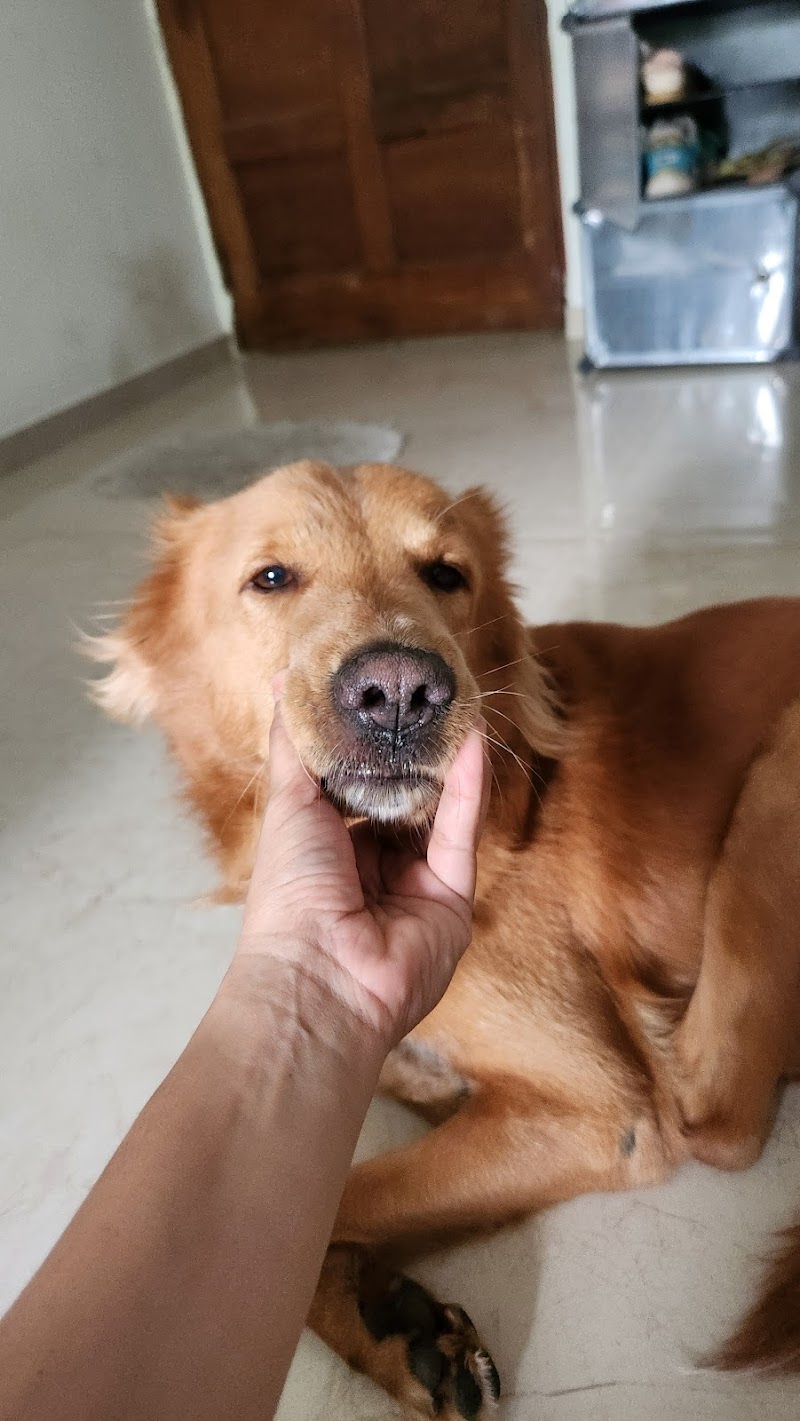 Woof & Wander - Hosteling and Walking — Photo 3