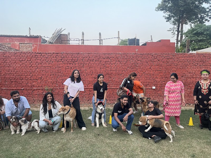 Woofs-n-Wags Dog Park and Boarding, Sainik Farms, Delhi