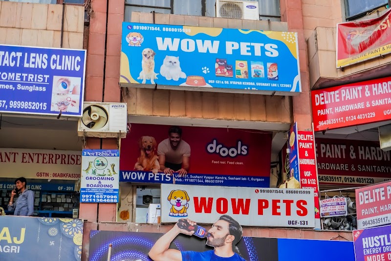 Wow Pets