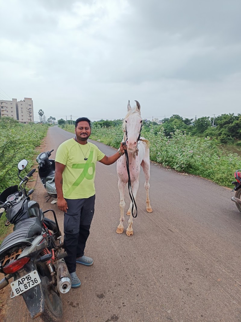 Yashwanth Dogs Training Center — Photo 3