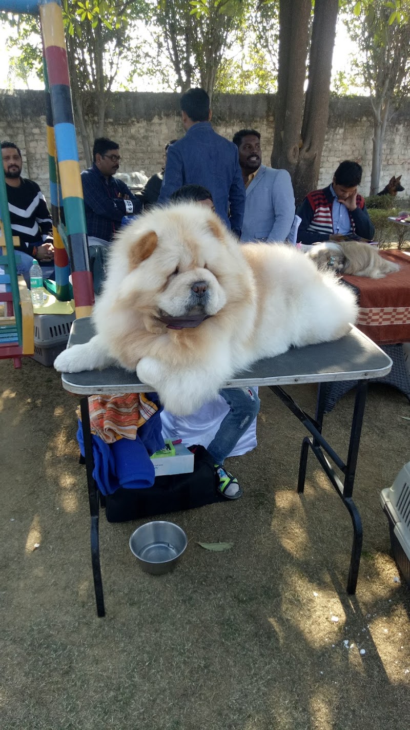 Yati's Pet Sop — Photo 2