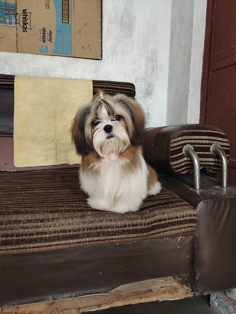 Yati's Pet Sop — Photo 3