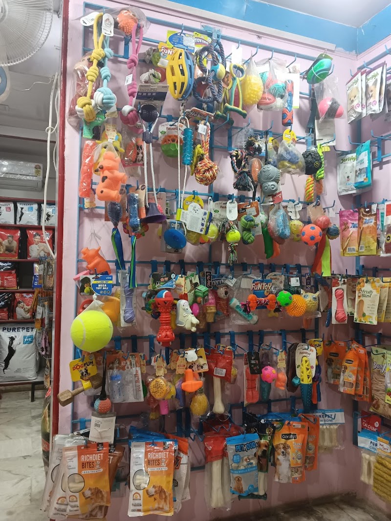 YES DOG ! — Photo 2