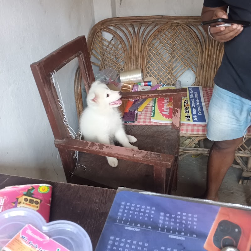 YES DOG ! — Photo 3