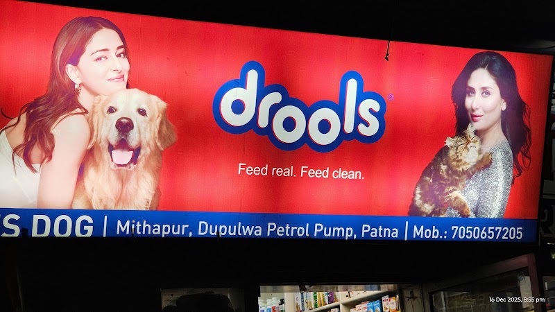 YES DOG ! — Photo 4