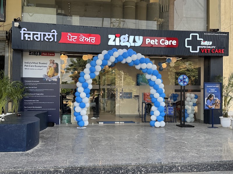 Zigly Pet Care - Vet Clinic, Pet Grooming & Pet Products | Amritsar