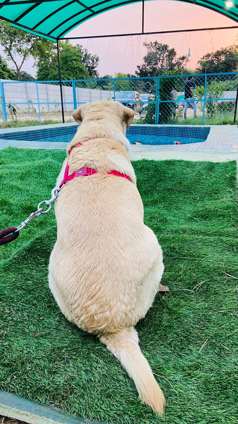 Zol paradise - pet boarding