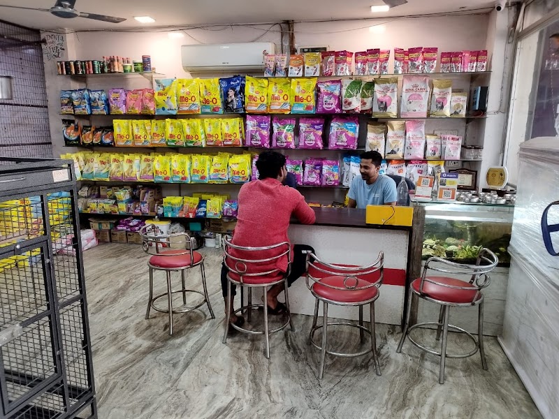 ZOOCHO The Pet Gallery — Photo 2