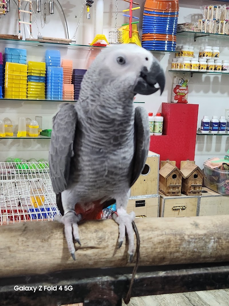 ZOOCHO The Pet Gallery — Photo 3