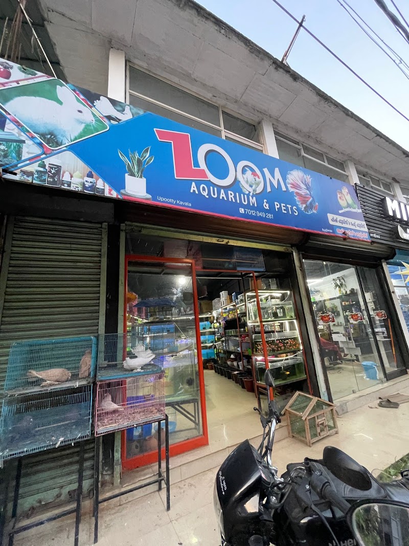 ZOOM AQUARIUM AND PETS